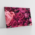 Obraz na płótnie 70x50 - Róże - piękno kwiatów - róże, kwiaty