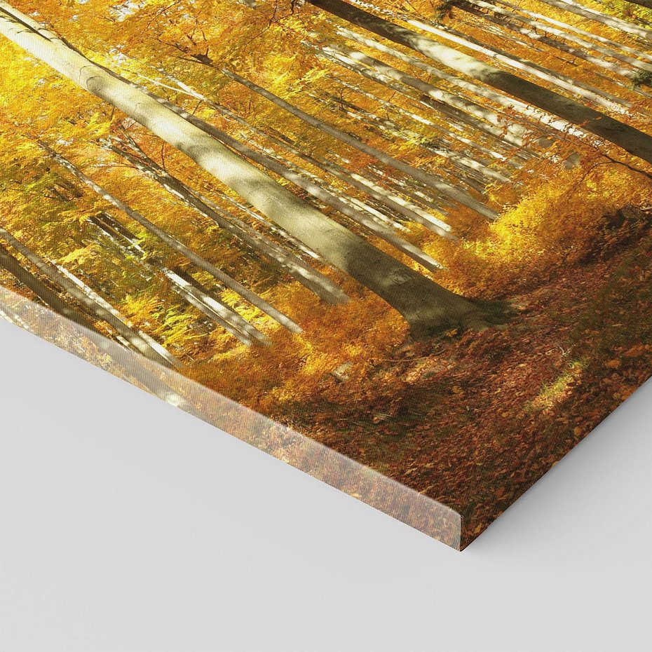 Obraz na płótnie 80x120 - Jesienny Las - Kolorowa Paleta Natury - jesień, drzewa