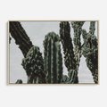 Obraz w ramie 120x80 - Boho oaza wśród kaktusów - kaktusy, pustynia - rama drewno