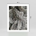 Plakat bez ramy 40x50 - Cisza Zimowej Natury - zima, iglaste gałązki
