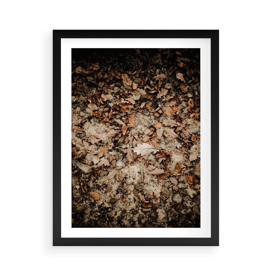 Plakat w ramie 50x70 - Suchość Liści w Brązowych Tonach - suche liście jesień brąz - rama czarna