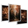 Zestaw obrazy w ramie 50x70 galeria - Bogo, jesienny, las, paprocie - rama biała