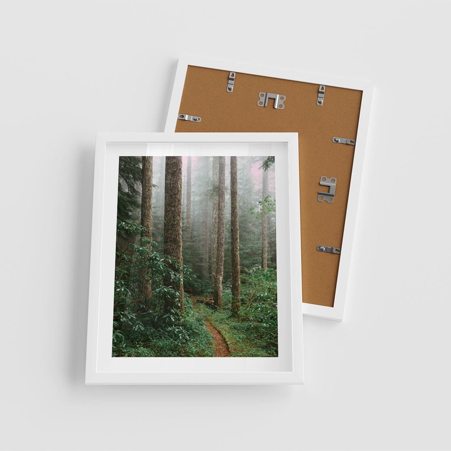 Plakat w ramie 40x50 - Mgliste Marzenia - artystyczna fotografia, las - rama biała