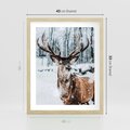 Plakat w ramie 40x50 - Jeleń na Zdjęciu pod Śniegiem - jeleń, zima - rama drewno