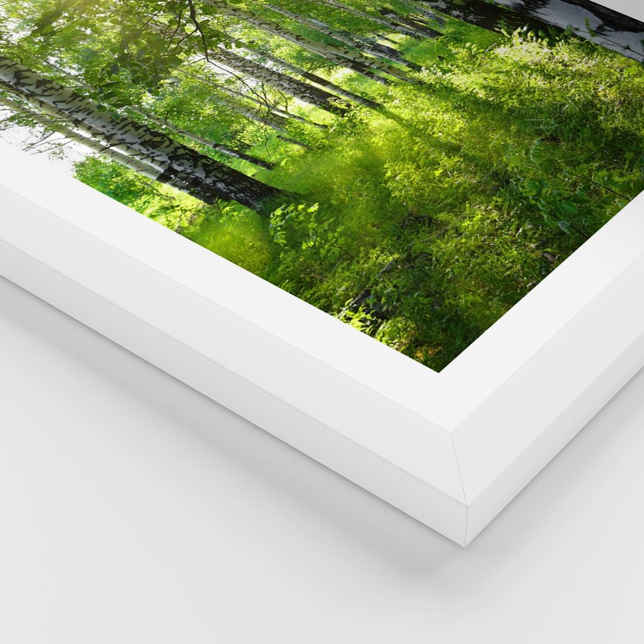 Plakat w ramie 30x40 - Lasowa Księżycowa Noc - las, drzewa - rama biała