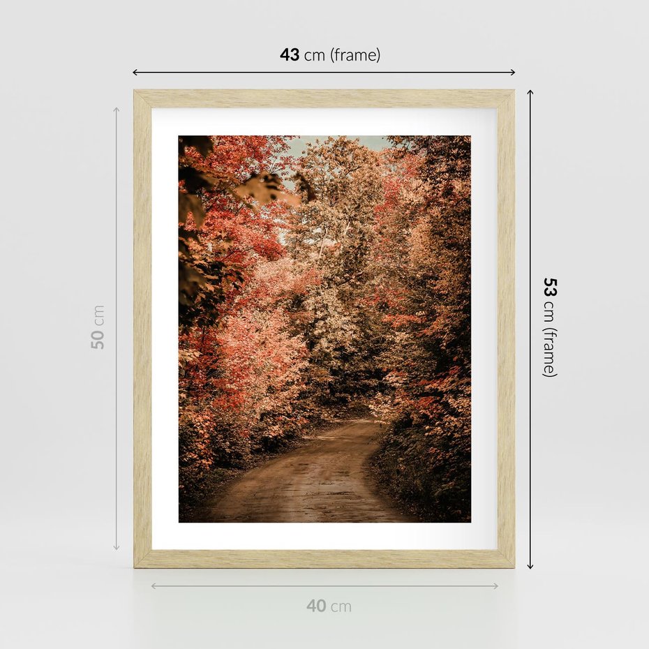 Plakat w ramie 40x50 - Obraz przedstawia jesienne drzewa i czerwone liście na ścieżce w lesie. Ta sceneria doskonale oddaje urok i kolorystykę jesieni w lesie. - las, jesień - rama drewno