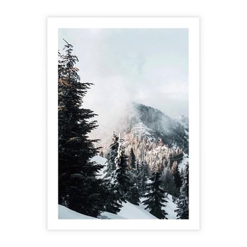 Plakat bez ramy 30x40 - Góry, Las i Śnieg na Obrazie - góry, las