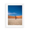 Plakat w ramie 50x70 - Słońce i Suche Drzewo - pustynia, suche - rama biała