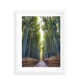 Plakat w ramie 40x50 - Urokliwa dróżka w lesie - las, dróżka - rama biała