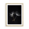Plakat w ramie 50x70 - Delikatność Wiatru - dmuchawce, makro - rama drewno