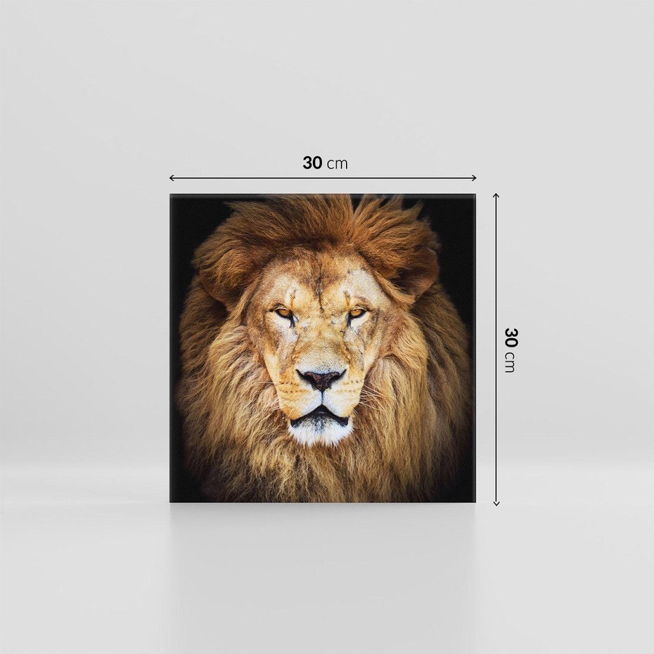 Obraz na płótnie 30x30 - Król zwierząt w majestatycznym stylu - lew, król