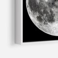 Obraz w ramie 50x50 - Księżycowa Aura - zdjęcie, ogromny księżyc na czarnym tle - rama biała