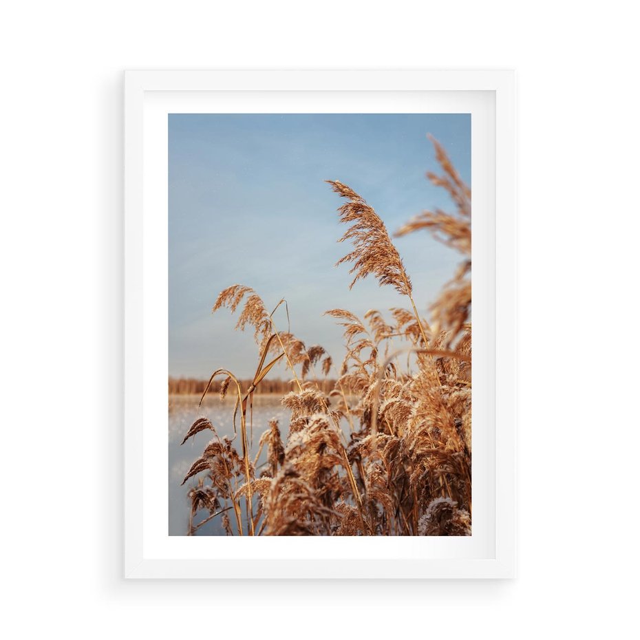 Plakat w ramie 50x70 - Wyraz Stylu - trawy, boho - rama biała