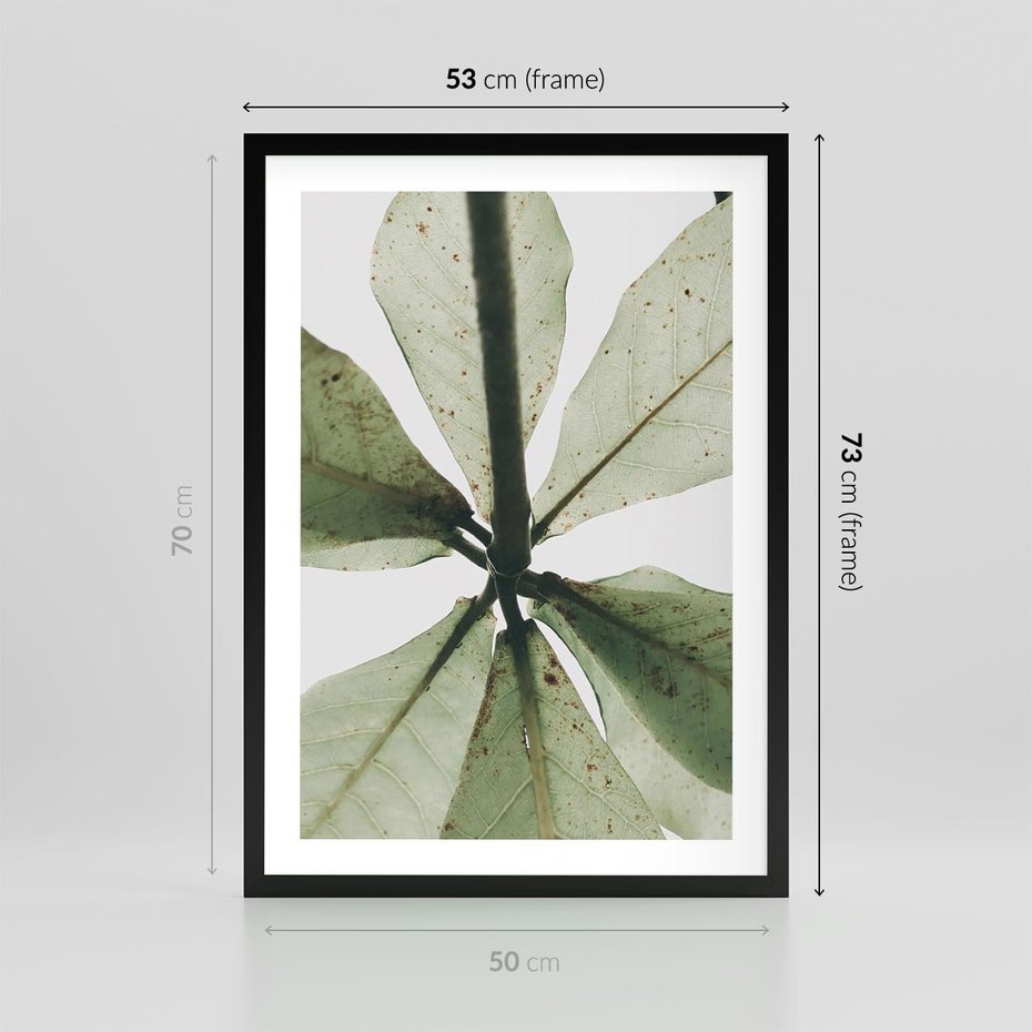 Plakat w ramie 50x70 - Jasna Zieleń w Makro - makro zdjęcie liści, jasna zieleń - rama czarna