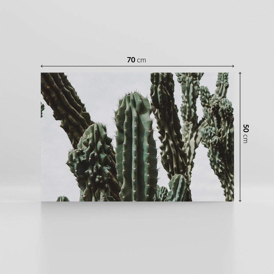 Obraz na płótnie 70x50 - Boho oaza wśród kaktusów - kaktusy, pustynia