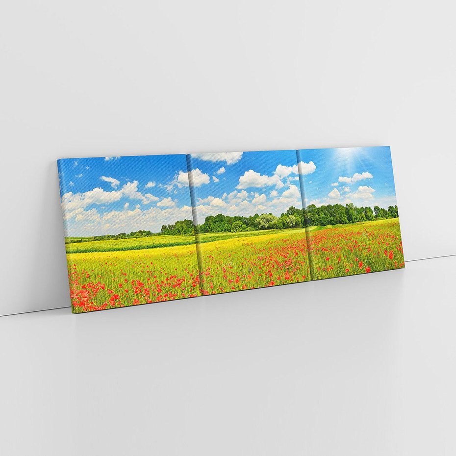 Obraz na płótnie 150x50 - Malownicze maki na łące - maki, łąka