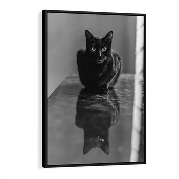 Obraz w ramie 50x70 - Kocie Oczy - kot, czarno białe zdjęcie - rama czarna