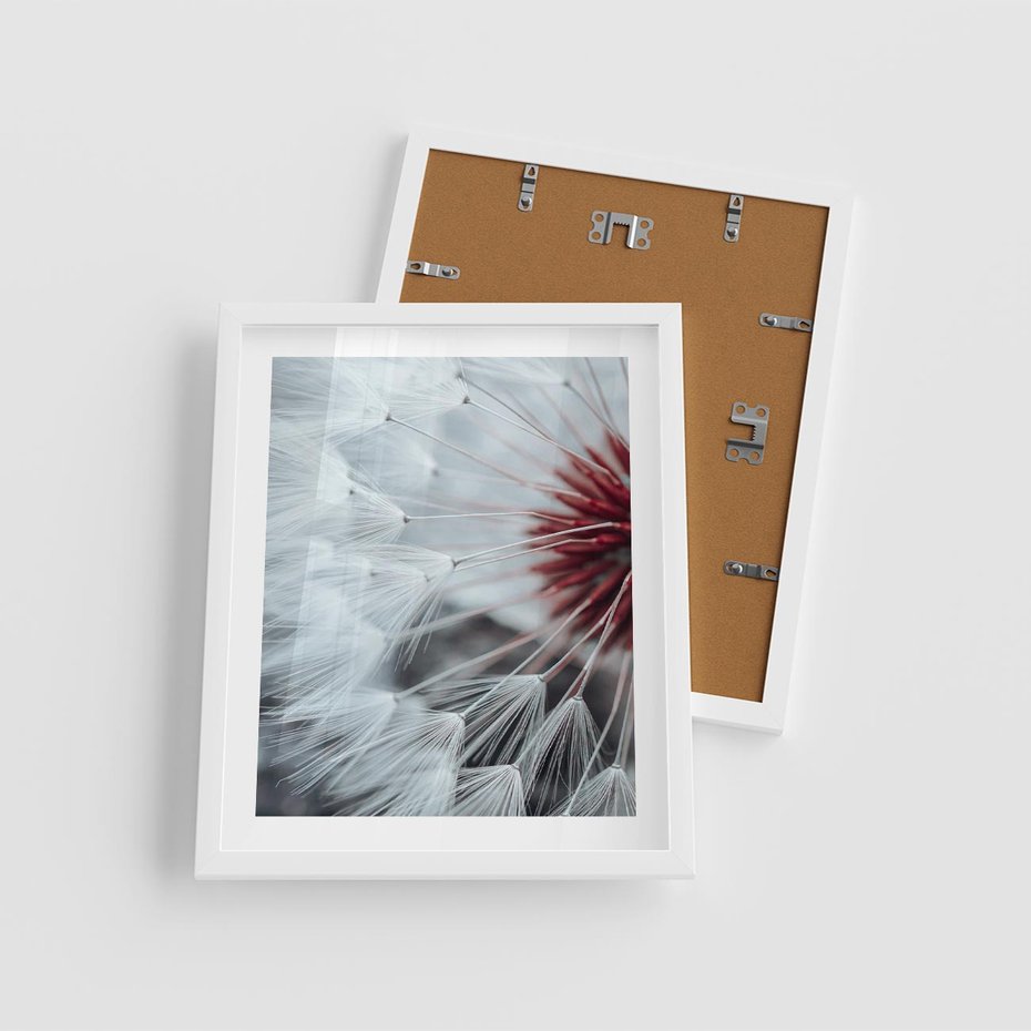 Plakat w ramie 40x50 - Makro Magii Natury - dmuchawiec, zbliżenie makro - rama biała