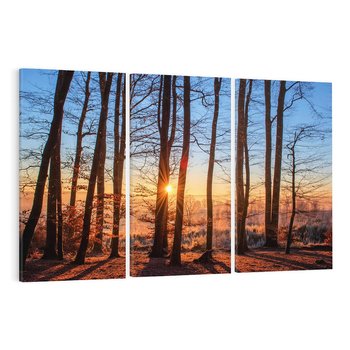 Obraz na płótnie 120x80 - Zachód słońca w jesiennym lesie - zachód słońca,