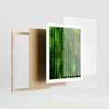 Plakat w ramie 40x50 - Bambusowy urok zielonej harmonii - bambus, zieleń - rama drewno