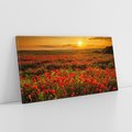 Obraz na płótnie 100x50 - Makowe uczucia - maki, kwiaty