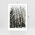 Plakat bez ramy 50x70 - Sypiący Śnieg - las w zimie, drzewa pod śniegiem