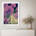 Plakat bez ramy 30x40 - Kwiatowa łąka w pełnym rozkwicie - kwiaty, łąka