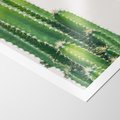 Plakat bez ramy 30x40 - Minimalistyczne Kaktusy na Białym Tle - kaktusy, minimalistyczna fotografia