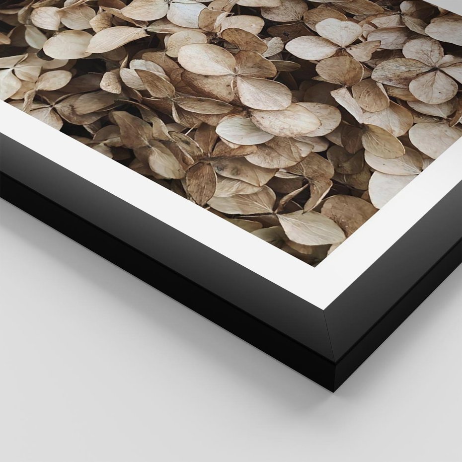 Plakat w ramie 50x70 - Delikatność Hortensji: Kompozycja Kwiatów w Beżu - hortensja, odcienie beżu - rama czarna