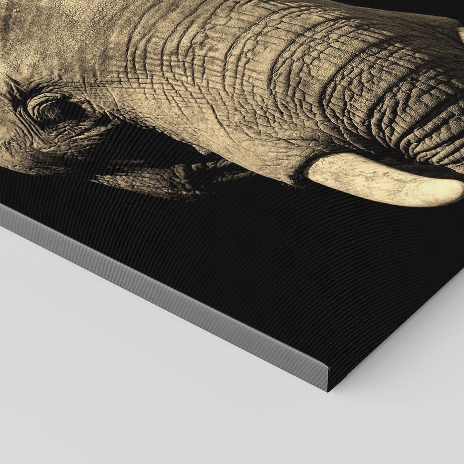 Obraz na płótnie 60x60 - Potężny słoń Afryki - safari, afryka