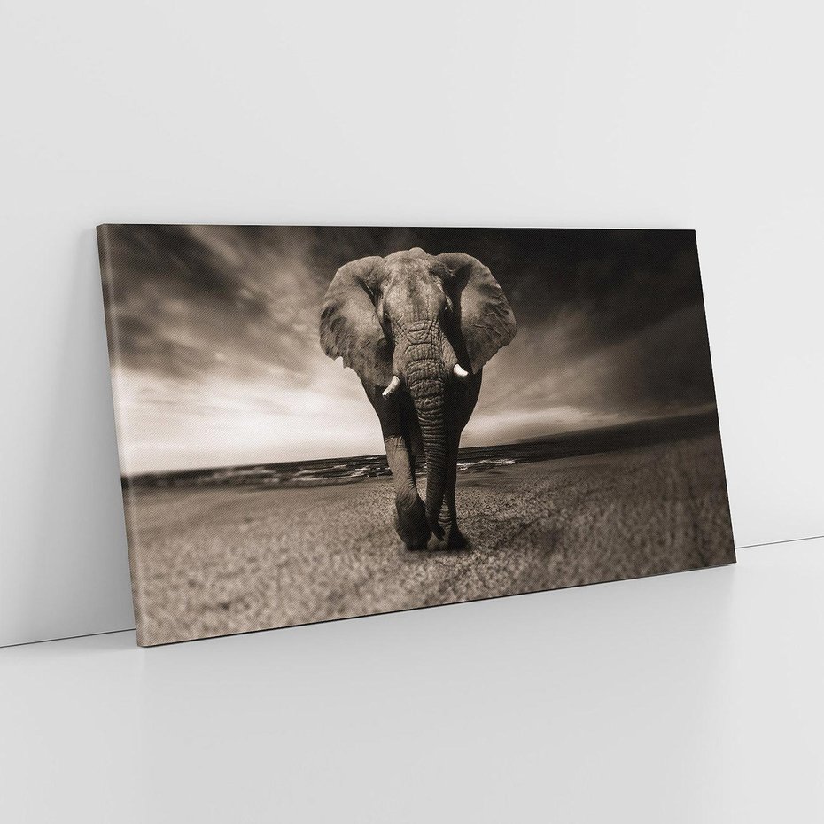 Obraz na płótnie 120x60 - Słoń - Wielki Przyjaciel Morza - słoń, plaża