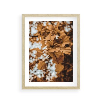 Plakat w ramie 30x40 - Nostalgiczny Miłorząb - miłorząb, liście - rama drewno