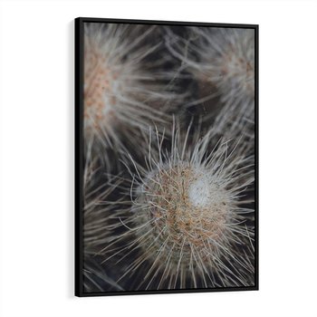 Obraz w ramie 50x70 - Ulotna Piękność Natury - makro, dmuchawce - rama czarna