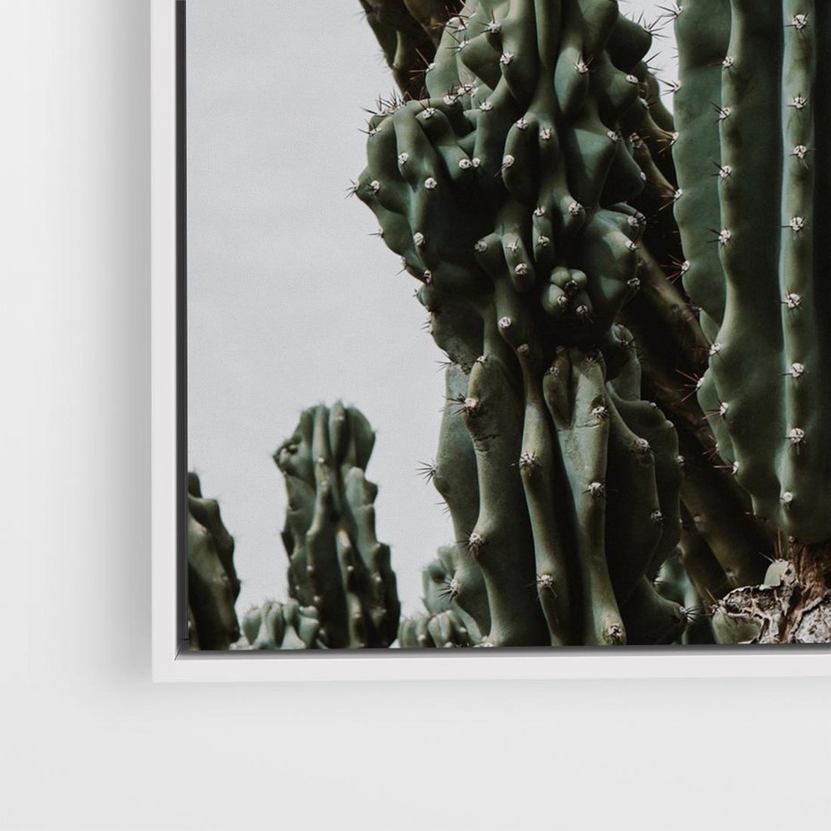 Obraz w ramie 80x80 - Boho oaza wśród kaktusów - kaktusy, pustynia - rama biała