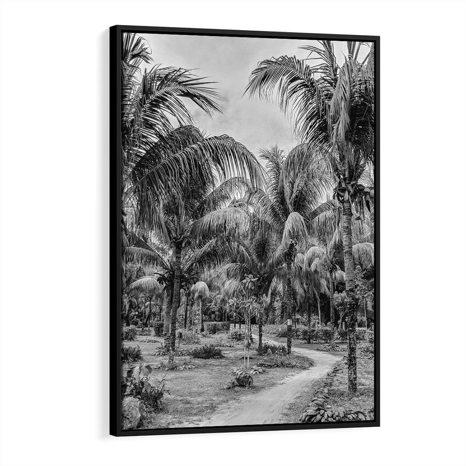 Obraz w ramie 50x70 - Mroczna Ścieżka Tropików - czarno biała fotografia, ścieżka pośród palm - rama czarna