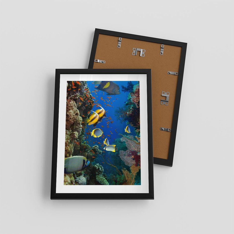 Plakat w ramie 30x40 - Podwodne królestwo rafy koralowej - rafa, koralowa - rama czarna