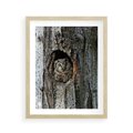 Plakat w ramie 40x50 - Tajemniczy W świecie Nocy - sowa, dziupla - rama drewno