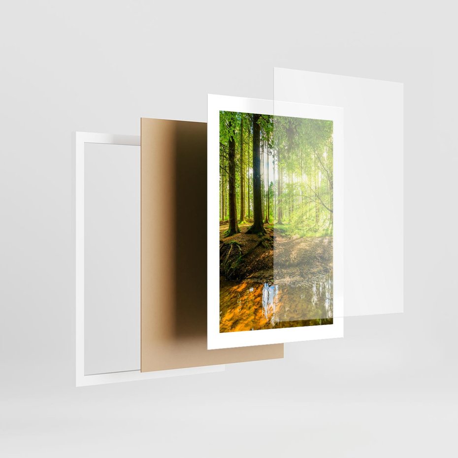 Plakat w ramie 30x40 - Las nad Wodą - las, woda - rama biała