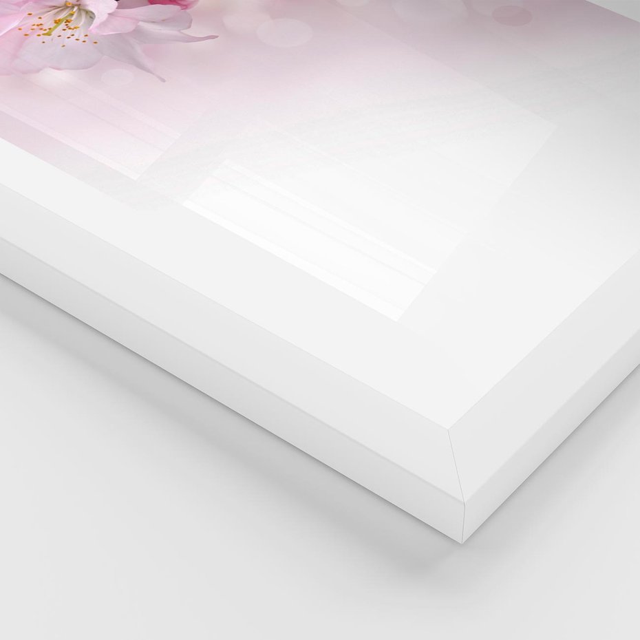 Plakat w ramie 50x70 - Kwitnąca Wiśnia - kwiaty, kwitnącej - rama biała