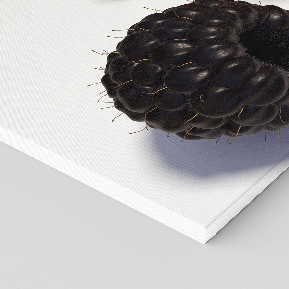 Obraz na płótnie 120x60 - Maliny Jeżyny Owoce - maliny, jeżyny