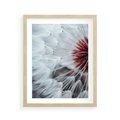 Plakat w ramie 40x50 - Makro Magii Natury - dmuchawiec, zbliżenie makro - rama drewno