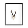 Plakat w ramie 50x70 - Minimalistyczne Poroże Jelenia - poroże jelenia na ścianie, minimalizm - rama czarna