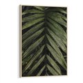 Obraz w ramie 50x70 - W Liściach Ukryte - zdjęcie, fotografia - rama drewno
