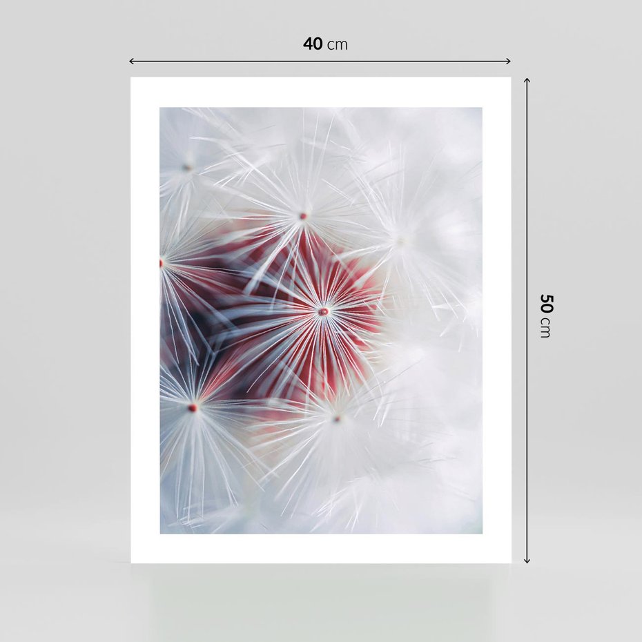 Plakat bez ramy 40x50 - Minimalistyczna Delikatność - zbliżenie, dmuchawce