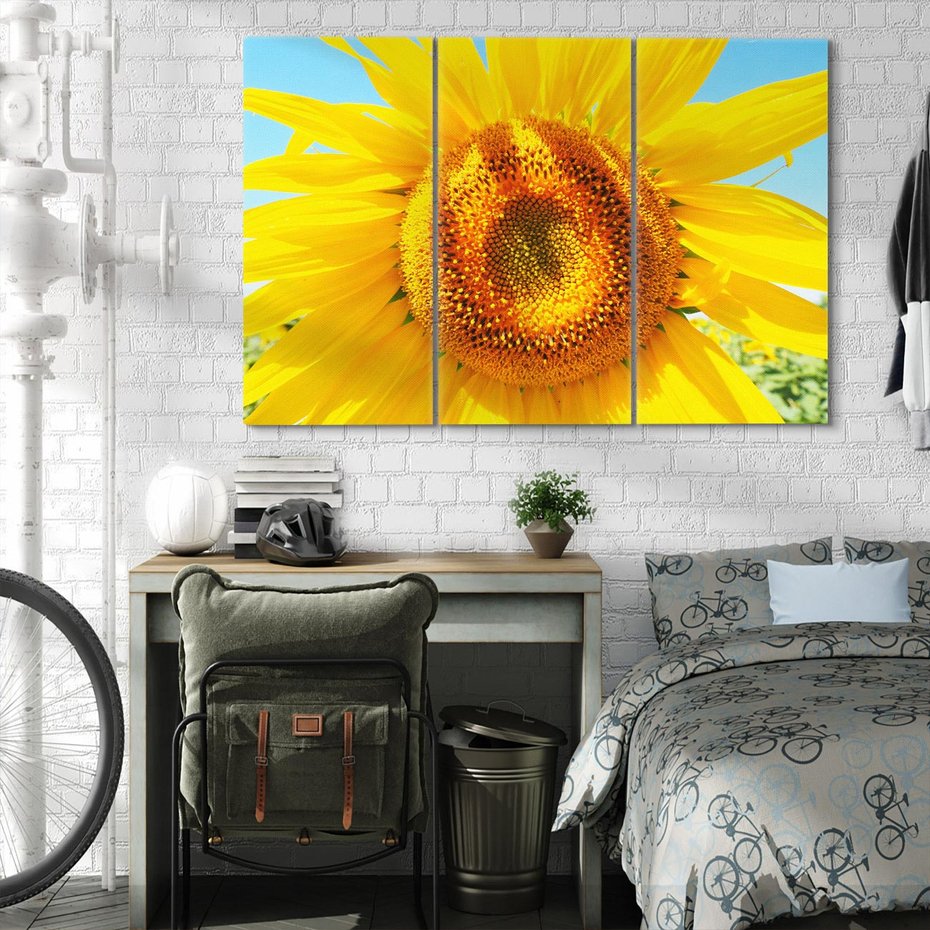 Obraz na płótnie 120x80 - Słoneczniki w naturalnym otoczeniu - słonecznik, natura