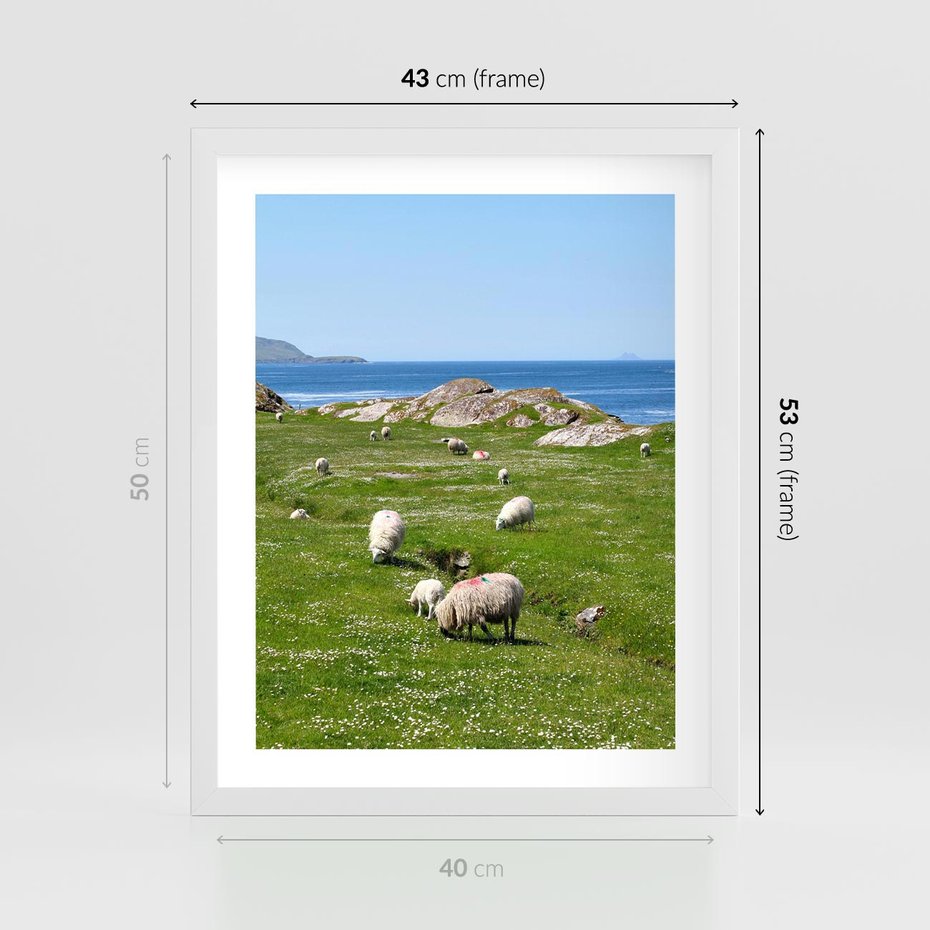 Plakat w ramie 40x50 - Górskie Owce - góry, owce - rama biała