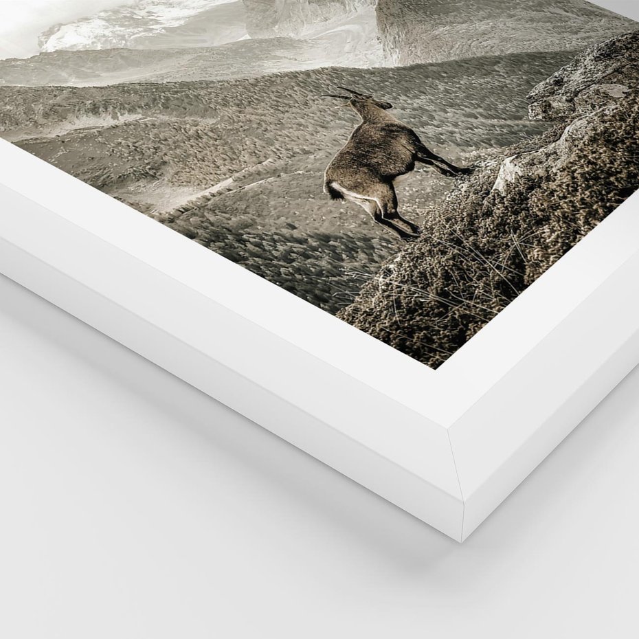 Plakat w ramie 30x40 - Dzikie Piękno: Kozica w Malowniczym Górskim Scenerii - kozica, góry - rama biała