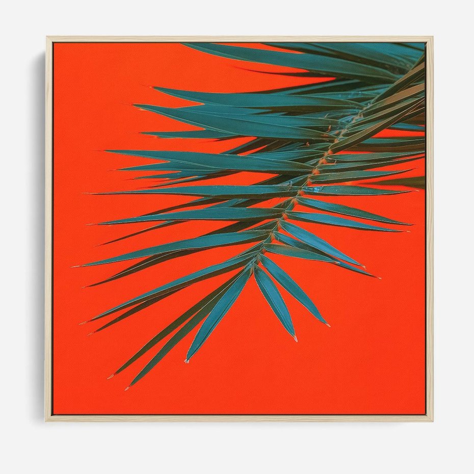 Obraz w ramie 50x50 - Egzotyczny Urok - liście, palma - rama drewno