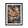 Plakat w ramie 50x70 - Jesienne Czarowanie - suchy liść, żółty - rama czarna