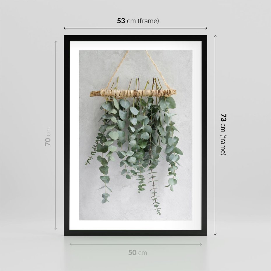 Plakat w ramie 50x70 - Uwodzicielska zieleń eukaliptusa - eukaliptus, zielone - rama czarna